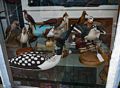 Wooden birds in shop window.<br />July 21, 2017 - Portsmouth, New Hampshire.