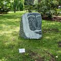 Joseph Gray: The Old Sage.<br />July 22, 2017 - The Gardens at Elm Bank, Wellesley, Massachusetts.