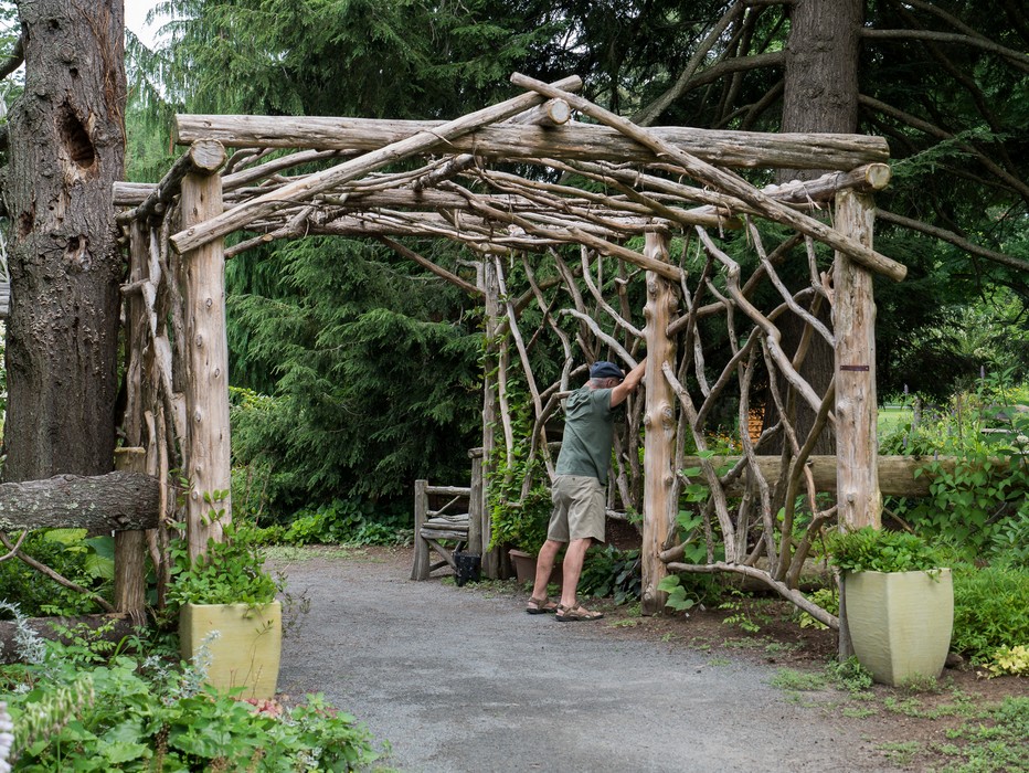 Ronnie.<br />July 22, 2017 - The Gardens at Elm Bank, Wellesley, Massachusetts.
