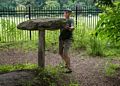 Ronnie straining to lift the rock?<br />July 22, 2017 - The Gardens at Elm Bank, Wellesley, Massachusetts.