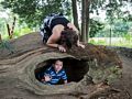 Miranda and Matthew.<br />July 28, 2017 - The Gardens at Elm Bank, Wellesley, Massachusetts.