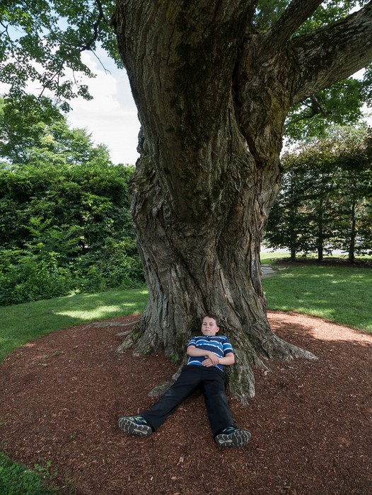 Matthew.<br />July 28, 2017 - The Gardens at Elm Bank, Wellesley, Massachusetts.