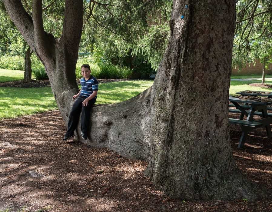 Matthew.<br />July 28, 2017 - The Gardens at Elm Bank, Wellesley, Massachusetts.