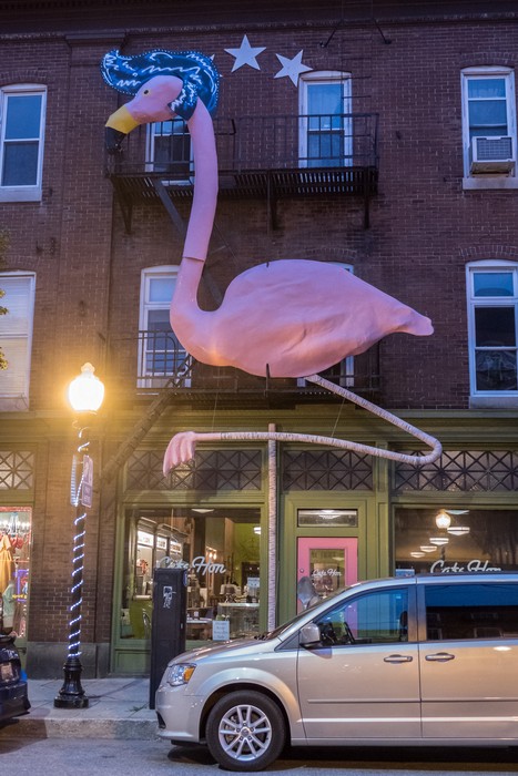 Flamingo on W. 36th Street.<br />(After dinner at The Food Market.)<br />July 2, 2017 - Baltimore, Maryland.
