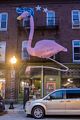 Flamingo on W. 36th Street.<br />(After dinner at The Food Market.)<br />July 2, 2017 - Baltimore, Maryland.