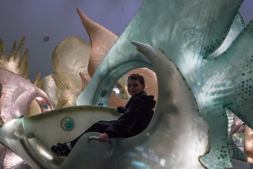 Matthew on the SeaGlass Carousel at Battery Park.<br />July 13, 2017 - Manhattan, New York City, New  York.