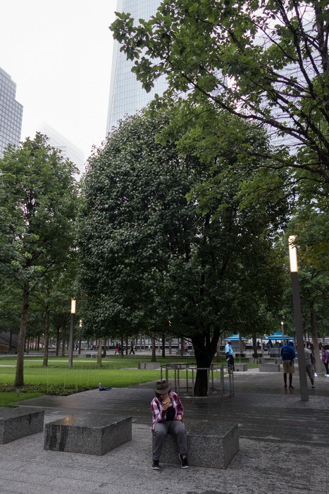 Miranda at the Survivor Tree.<br />September 11 Memorial Site.<br />July 13, 2017 - Manhattan, New York City, New  York.July 13, 2017 - Manhattan, New York City, New  York.