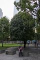 Miranda at the Survivor Tree.<br />September 11 Memorial Site.<br />July 13, 2017 - Manhattan, New York City, New  York.July 13, 2017 - Manhattan, New York City, New  York.