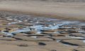 Sand/water patterns on the beach.<br />Aug. 23, 2017 - Parker River National Wildlife Refuge, Plum Island, Massachusetts.