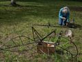 Joyce Audy Zarins installing her 'Safety Net'.<br />Maudslay Outdoor Sculpture show installation.<br />Sep. 9, 2017 - Maudslay State Park, Newburyport, Massachusetts.