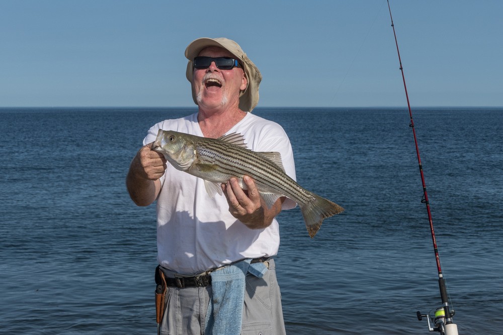 A fisherman with a 24" striped bass, which he released since it was below the minimum of 28".<br />Sept. 11, 2017 - Parker River National Wildlife Refuge, Plum Island, Massachusetts.