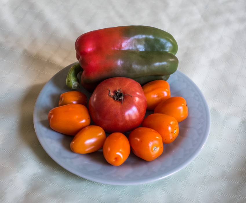 Paul's vegetables.<br />Sep. 29, 2017 - At home in Merrimac, Massachusetts.