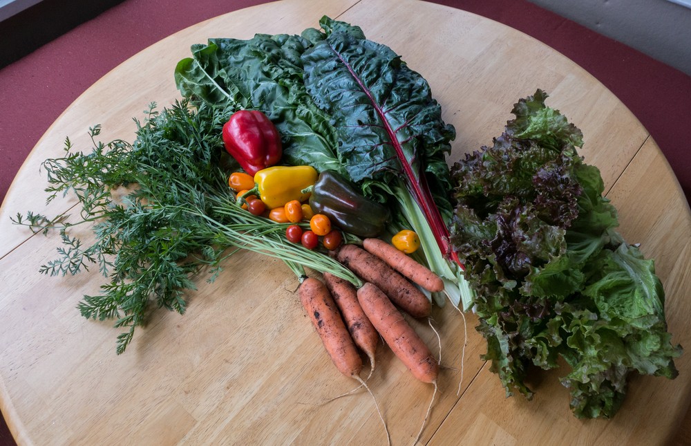 Paul's vegetables.<br />Oct. 6, 2017 - At home in Merrimac, Massachusetts.