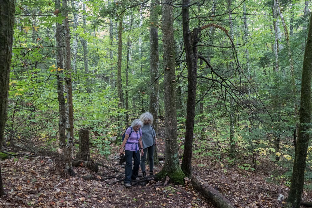 Joyce and Dominique on the trail.<br />Hike with Paul and Dominique.<br />Oct. 8, 2017 - Mt. Agamenticus, Maine.
