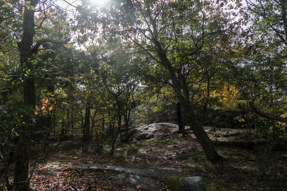 Top of Second Hill at 555 feet.<br />Hike with Paul and Dominique.<br />Oct. 8, 2017 - Mt. Agamenticus, Maine.