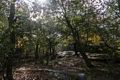 Top of Second Hill at 555 feet.<br />Hike with Paul and Dominique.<br />Oct. 8, 2017 - Mt. Agamenticus, Maine.