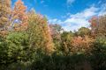 Fall foliage.<br />Hike with Paul and Dominique.<br />Oct. 8, 2017 - Mt. Agamenticus, Maine.
