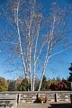 Oct. 20, 2017 - Latvian Memorial Park, Tannersville, New York.