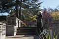 Joyce checking her photo of the birch tree.<br />Oct. 20, 2017 - Latvian Memorial Park, Tannersville, New York.