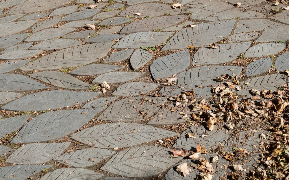 Leaves on leaves.<br />Oct. 20, 2017 - Woodstock, New York.
