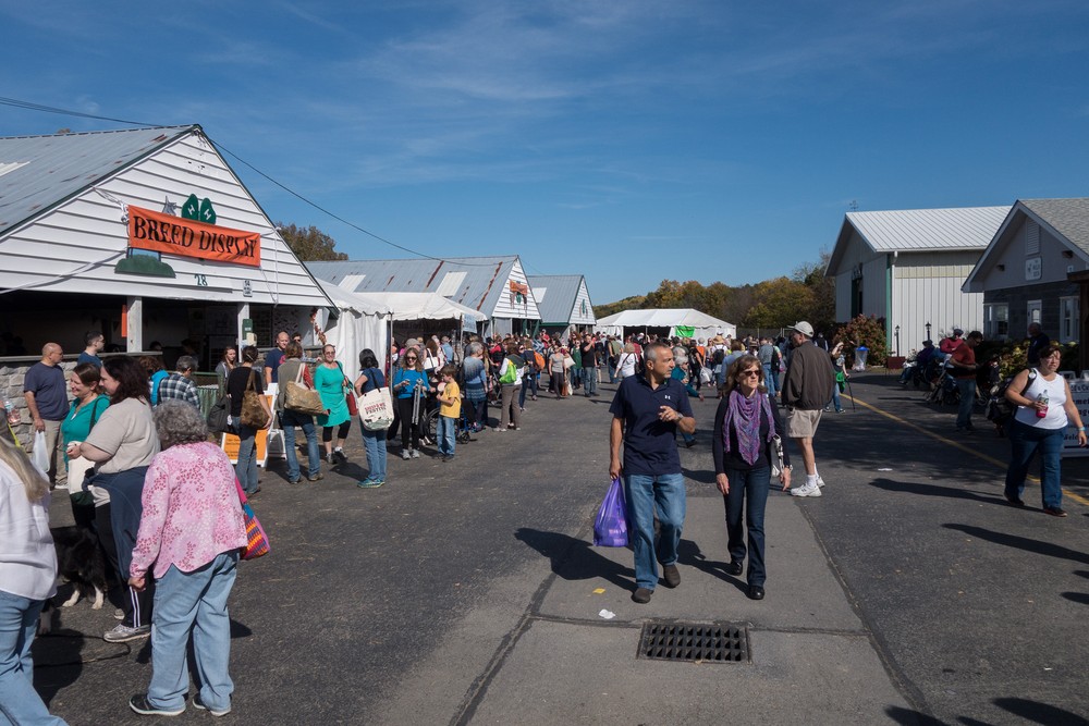Sheep & Wool Festival.<br />Oct. 21, 2017 - Rhinebeck, New York.