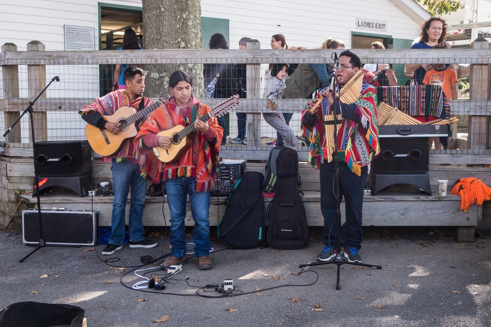 Sheep & Wool Festival.<br />Oct. 21, 2017 - Rhinebeck, New York.