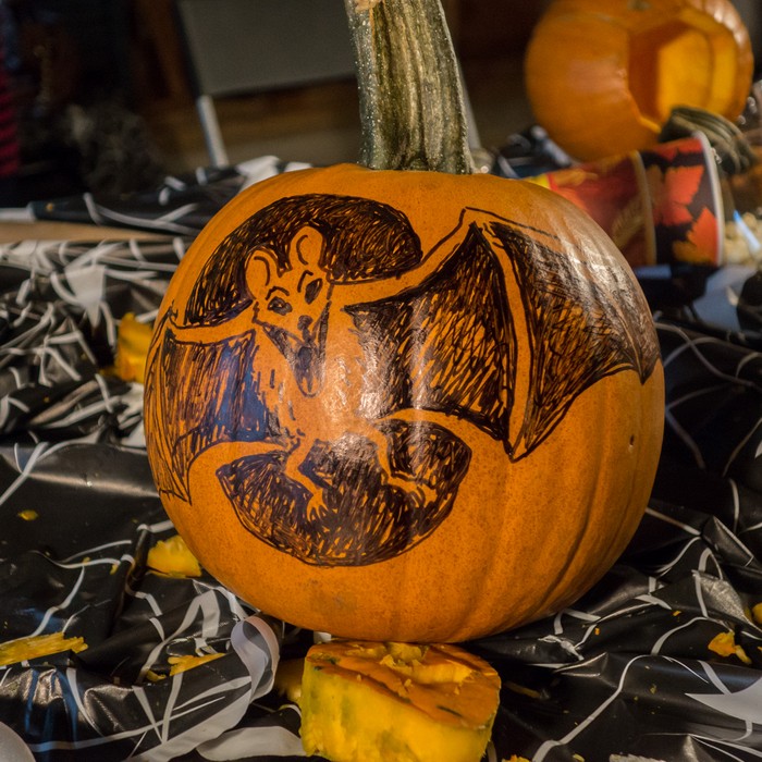 Bat by Carol Schwartz.<br />Pumpkin carving party.<br />Oct. 29, 2017 - At Ron and Kathie's, Merrimac, Massachusetts.