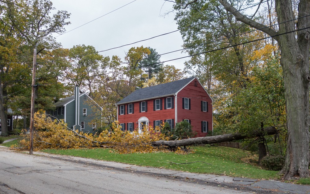 Impact of last night's storm.<br />On Woodland Street towards Rt. 110.<br />Oct. 30, 2017 - Merrimac, Massachusetts.