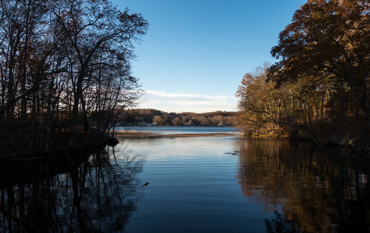 A walk in the park with Joyce.<br />Nov. 21, 2017 - Maudslay State Park, Newburyport, Massachusetts.