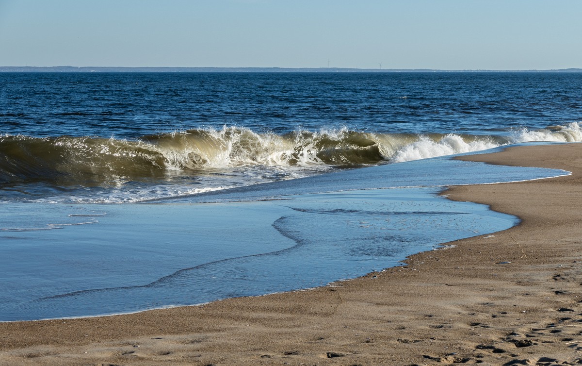 A walk with Joyce, Carl, and Matthew.<br />Nov. 25, 2017 - Parker River National Wildlife Refuge, Plum Island, Massachusetts.