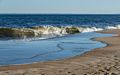 A walk with Joyce, Carl, and Matthew.<br />Nov. 25, 2017 - Parker River National Wildlife Refuge, Plum Island, Massachusetts.