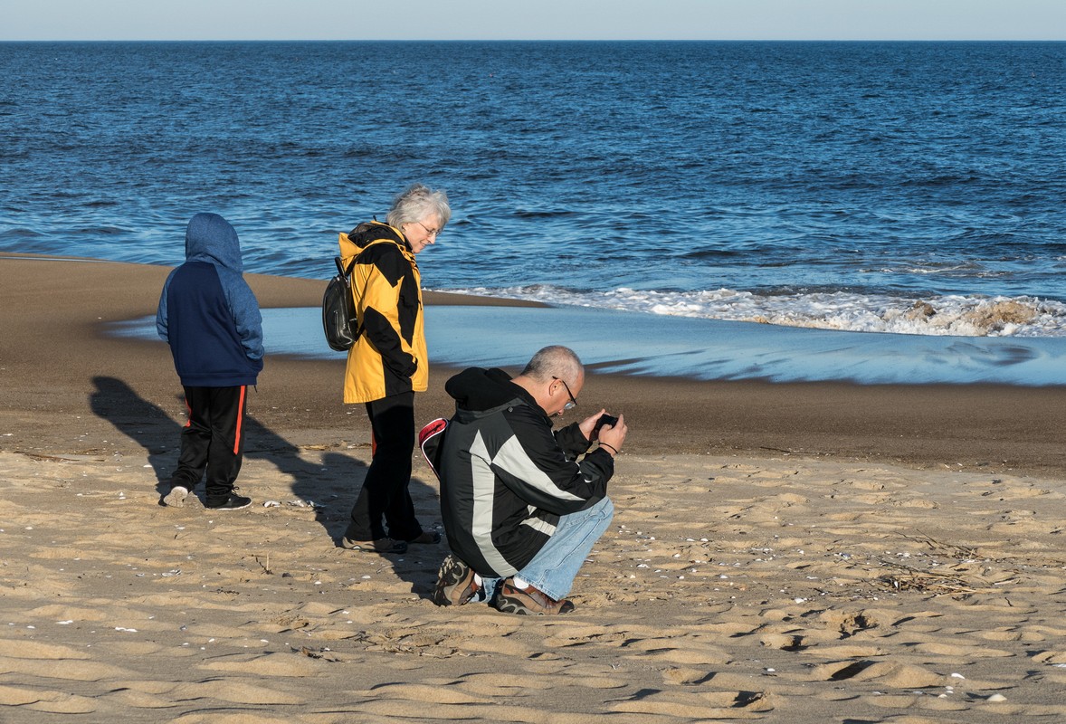 Matthew, Joyce, and Carl photographing.<br />A walk with Joyce, Carl, and Matthew.<br />Nov. 25, 2017 - Parker River National Wildlife Refuge, Plum Island, Massachusetts.