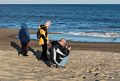 Matthew, Joyce, and Carl photographing.<br />A walk with Joyce, Carl, and Matthew.<br />Nov. 25, 2017 - Parker River National Wildlife Refuge, Plum Island, Massachusetts.