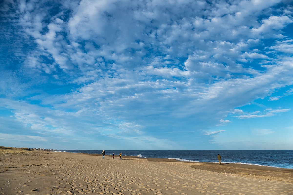 A walk with Joyce, Carl, and Matthew.<br />Nov. 25, 2017 - Parker River National Wildlife Refuge, Plum Island, Massachusetts.