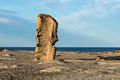 Egils' attempt at being artsy.<br />A walk with Joyce, Carl, and Matthew.<br />Nov. 25, 2017 - Parker River National Wildlife Refuge, Plum Island, Massachusetts.