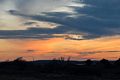 A walk with Joyce, Carl, and Matthew.<br />Nov. 25, 2017 - Parker River National Wildlife Refuge, Plum Island, Massachusetts.