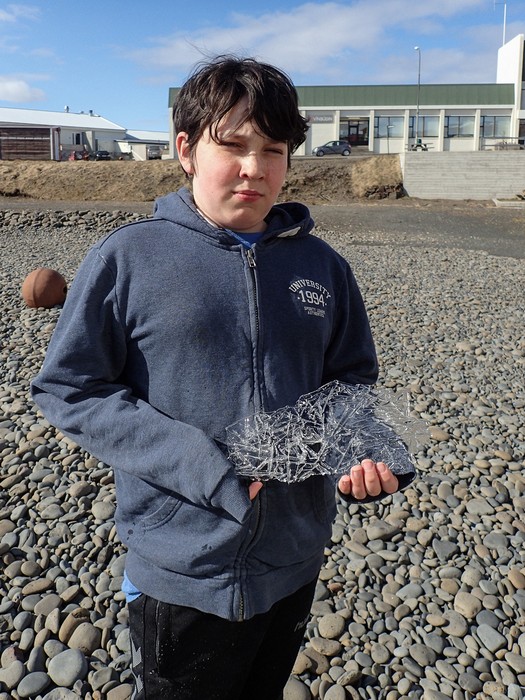 Marks with a piece of ice.<br />At the Seal Center.<br />April 16, 2016 - Hvammstangi, Iceland.
