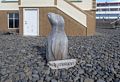 At the Seal Center.<br />April 16, 2016 - Hvammstangi, Iceland.