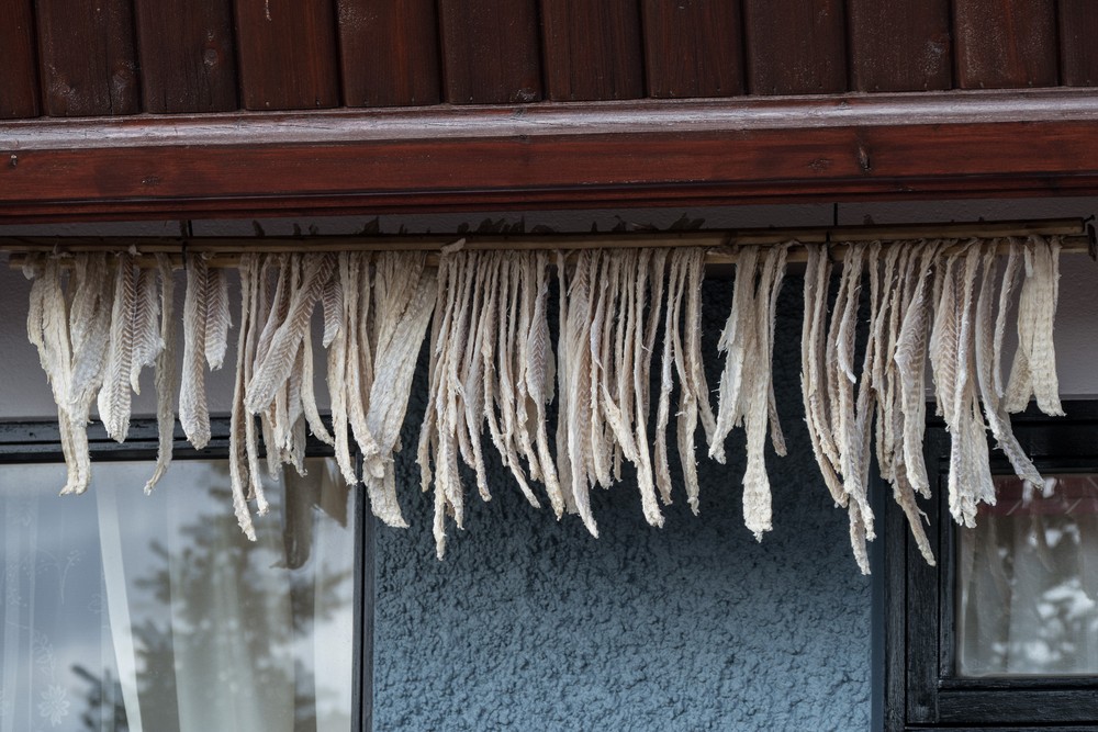 Fish drying under the eaves of a house.<br />Hike along the Syri-Hvamms.<br />April 16, 2016 - Hvammstangi, Iceland.