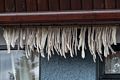 Fish drying under the eaves of a house.<br />Hike along the Syri-Hvamms.<br />April 16, 2016 - Hvammstangi, Iceland.