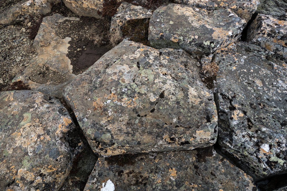 Basalt rock.<br />April 17, 2017 - At Borgarvirki off Rte. 1, Iceland.