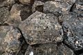 Basalt rock.<br />April 17, 2017 - At Borgarvirki off Rte. 1, Iceland.