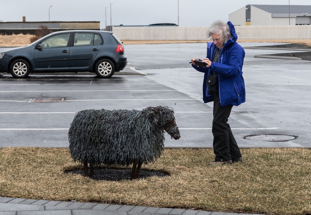 Joyce photographing a barbed wire sheep.<br />April 17, 2017 - Blndus, Iceland.