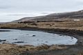 At the Illugastaðir seal watching site.<br />April 18, 2017 - West shore of Vatnsnes Peninsula, Iceland.