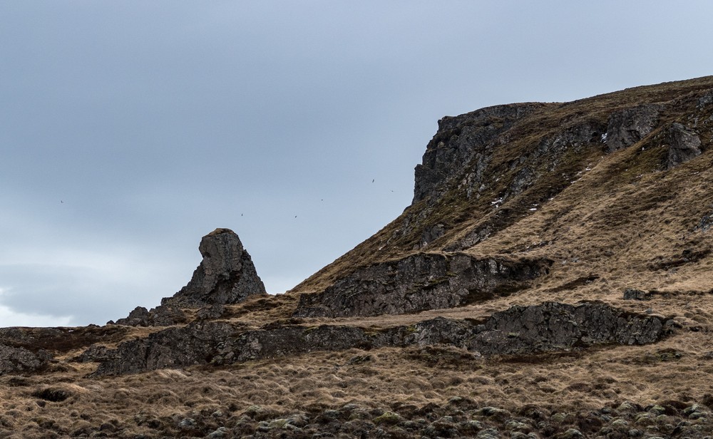 Near the northern tip of the peninsula.<br />April 18, 2017 - West shore of Vatnsnes Peninsula, Iceland.