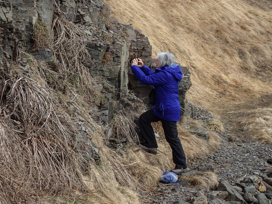 Joyce photographing flowers.<br />A second hike along the Syri-Hvamms.<br />April 20, 2017 - Hvammstangi, Iceland.