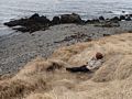Eric relaxin on his future property.<br />April 20, 2017 - Hvammstangi, Iceland.