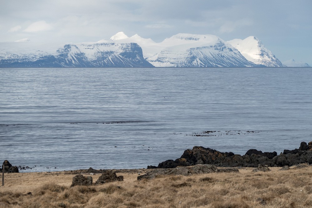 View of the Westfyords region.<br />At the Illugastair seal watching site.<br />April 18, 2017 - Trip around the Vatnsnes Peninsula, Iceland.