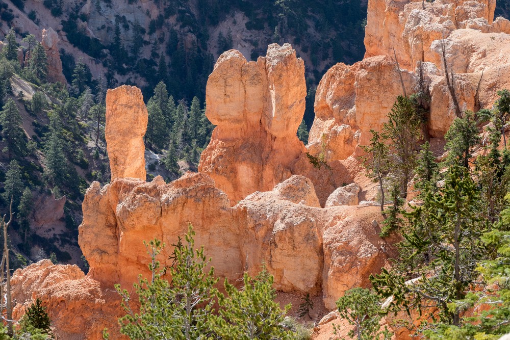 At Rainbow Point.<br />Aug. 9, 2017 - Bryce Canyon National Park, Utah.
