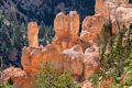 At Rainbow Point.<br />Aug. 9, 2017 - Bryce Canyon National Park, Utah.